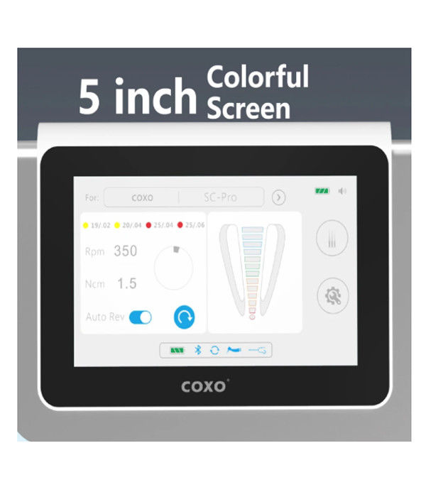 Dental C Master Coxos Motor Elétrico Dental com Endomotor Tudo em Um Brushless Elétrico Led Micromotor Endodontia
